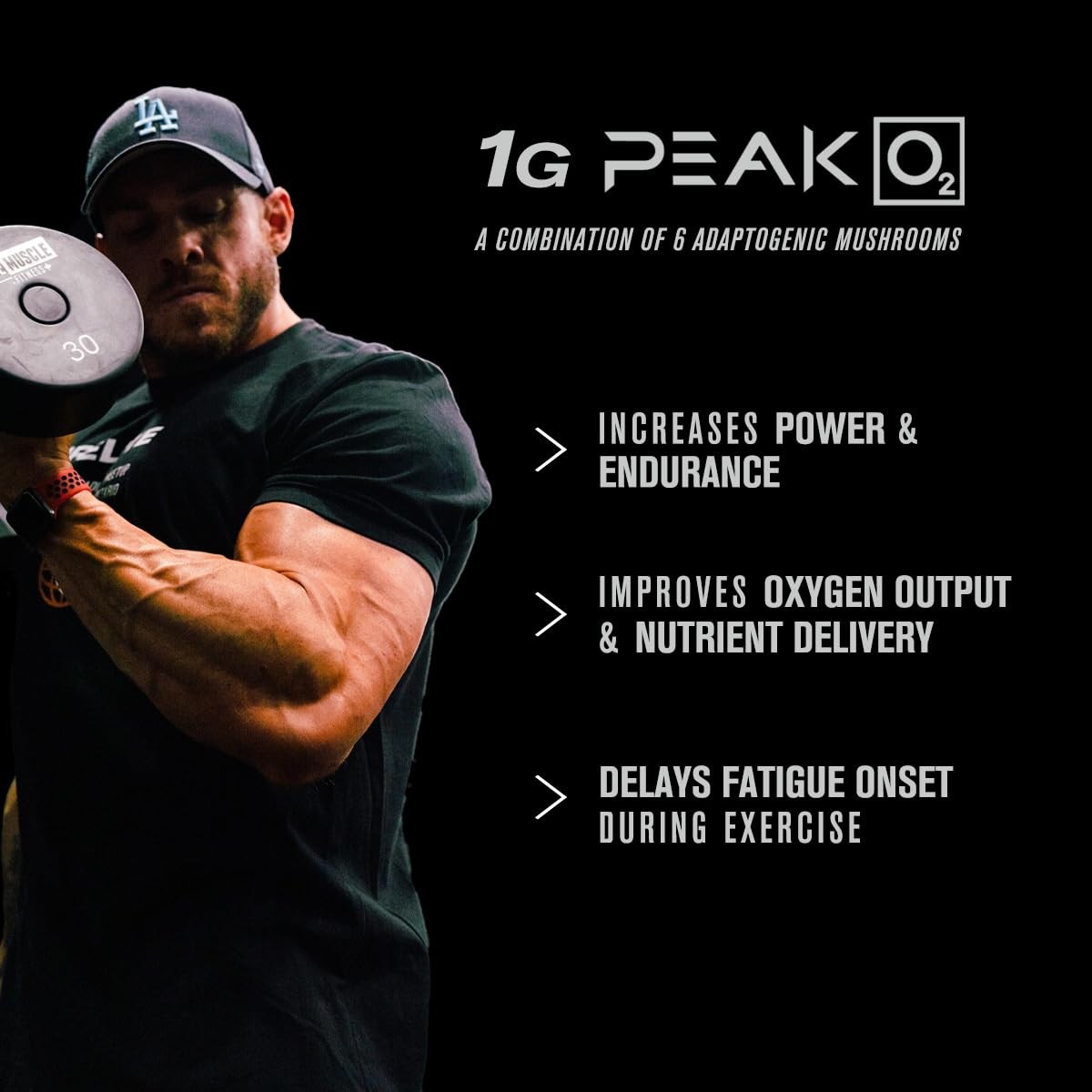 Jacked Factory BuildXT Daily Muscle Builder & Performance Enhancer Muscle Bu…