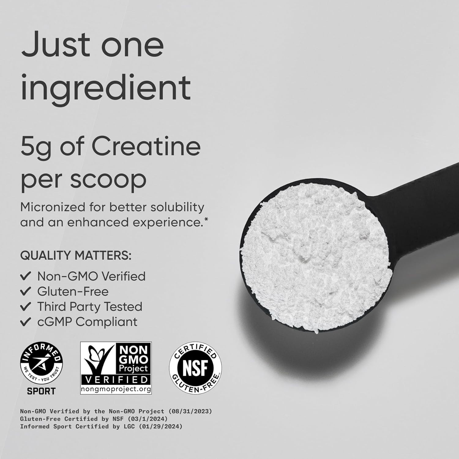 Sports Research® Creatine Monohydrate (Micronized) Powder 5g, 35.27oz | Gain Lea