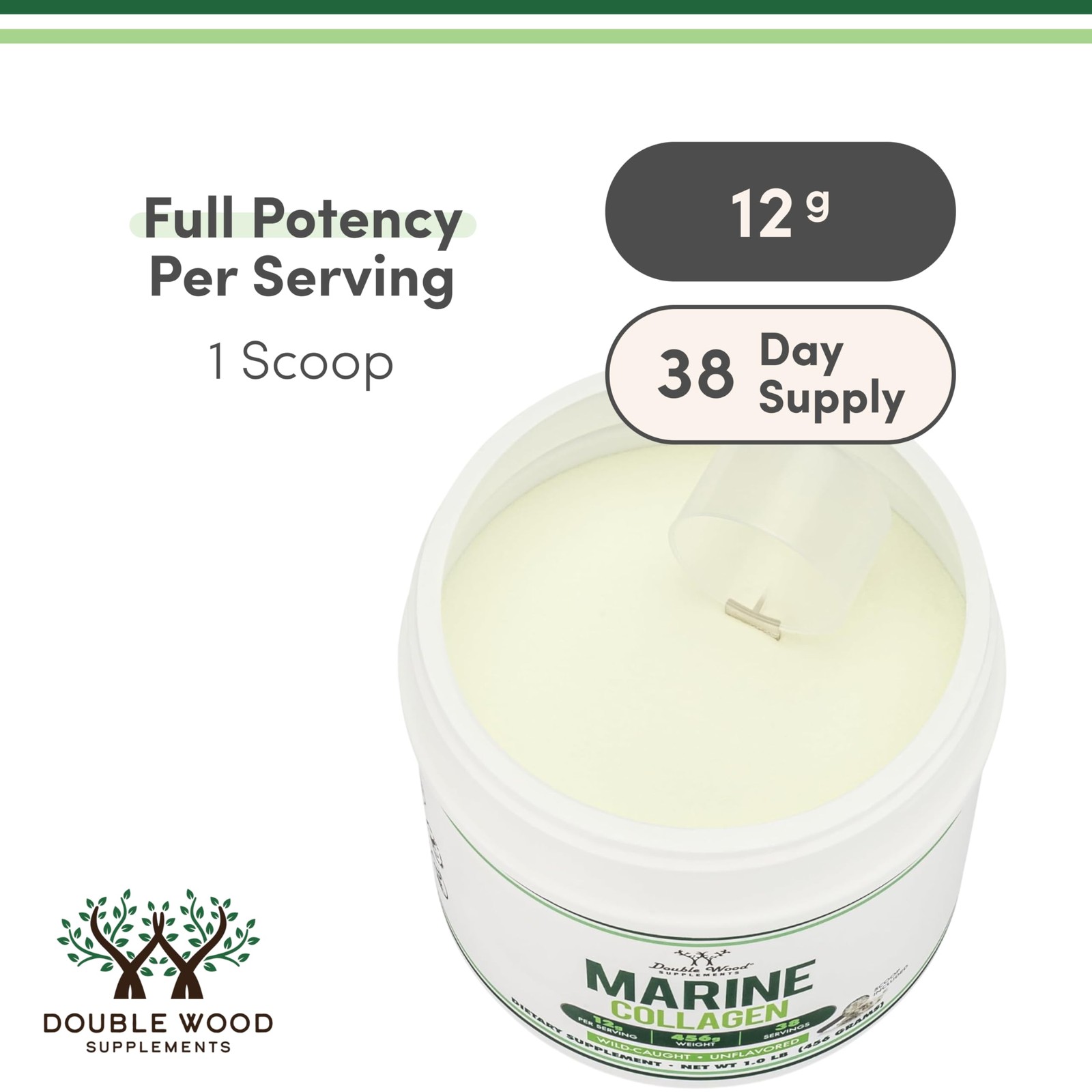 Double Wood Supplements Marine Collagen Powder (1 LB / 1.01 Pound (Pack of 1)