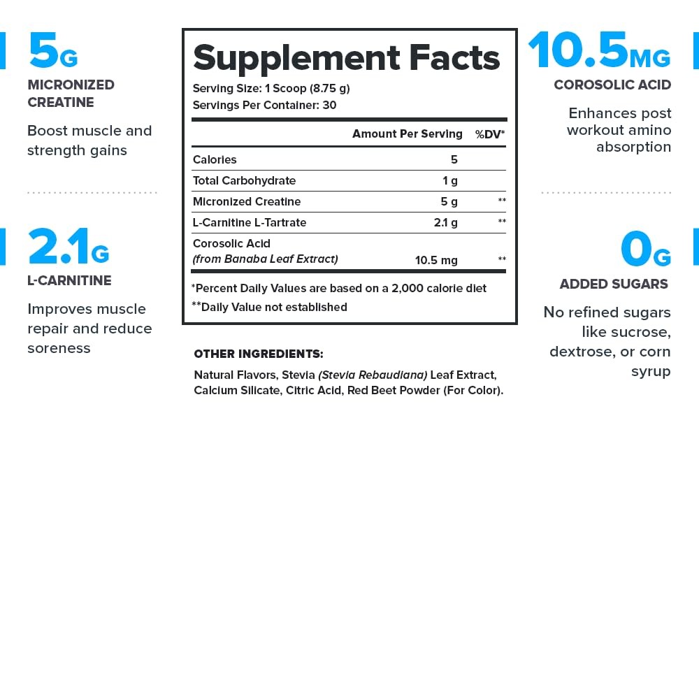 LEGION Recharge Post Workout Drink – Micronized Creatine Monohydrate Natural Pos