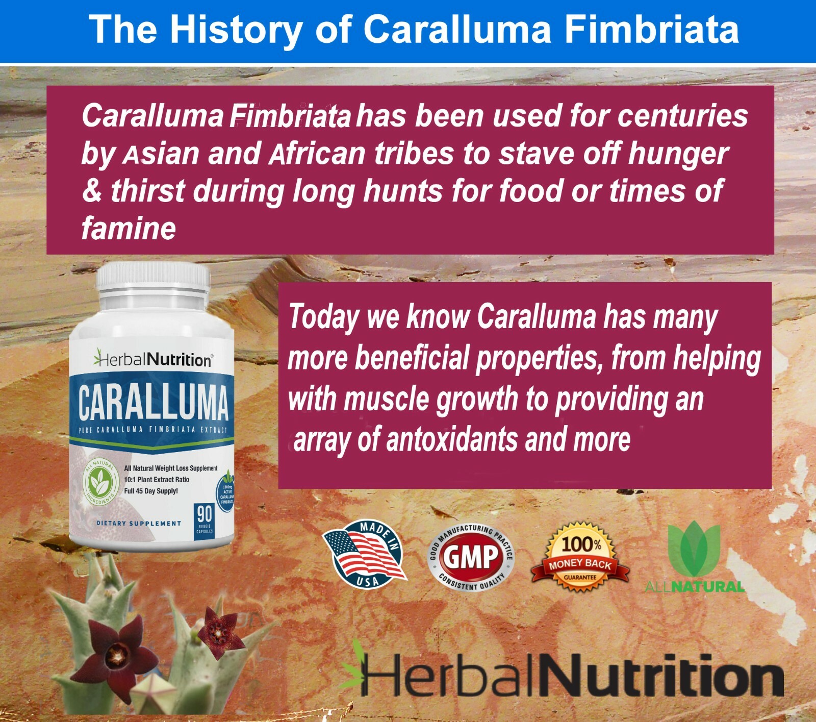Best Caralluma Weight Loss Supplement 1000mg 10:1 Fat Burner 180 Caps 2 Pack!