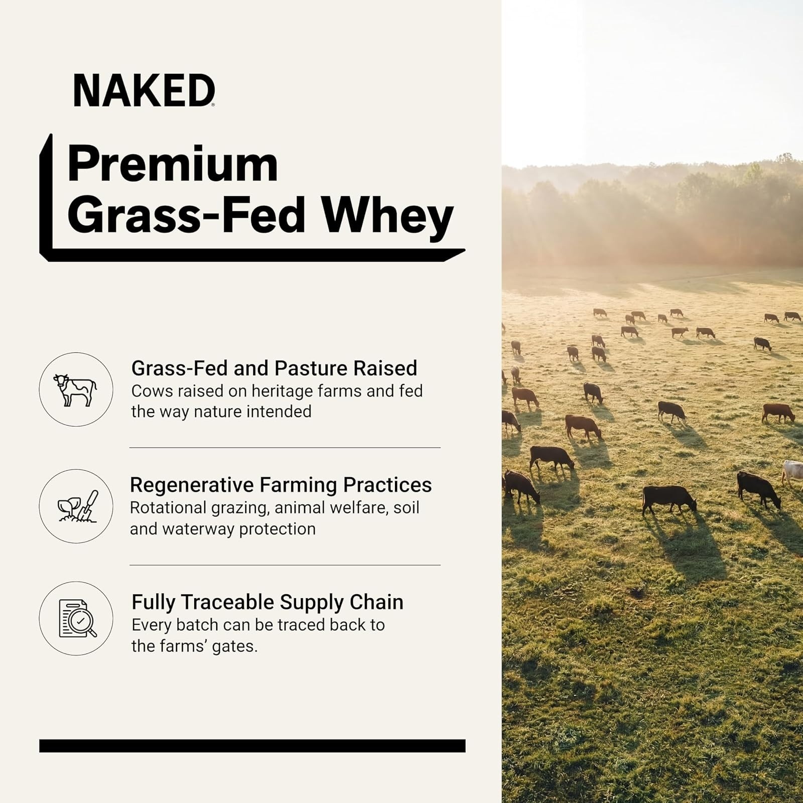 NAKED Vanilla Whey Protein 1Lb – All Natural, Grass Fed, Muscle Growth