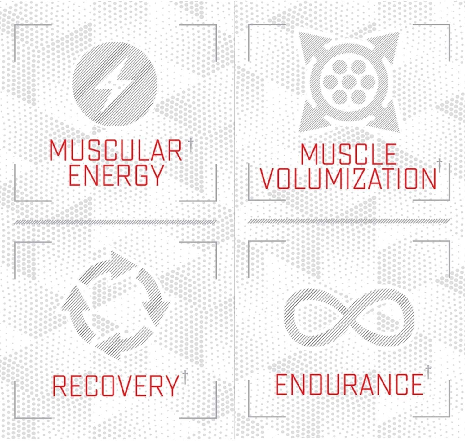 Purus Labs Citrulline Malate – Strength, Volume, & Recovery – 100 Servings