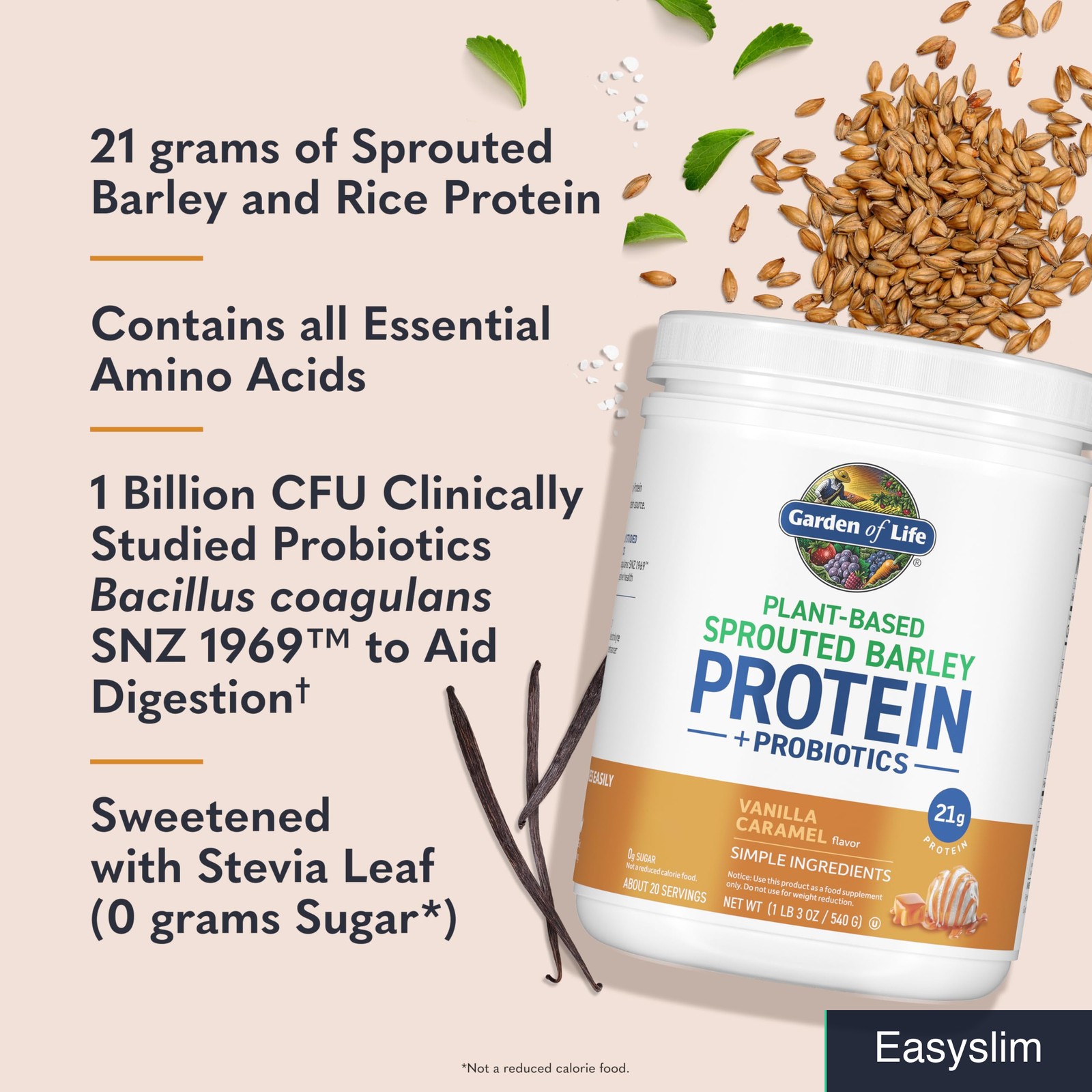 Plant-Based Sprouted Barley Protein Powder, Vanilla Caramel, 20 Servings
