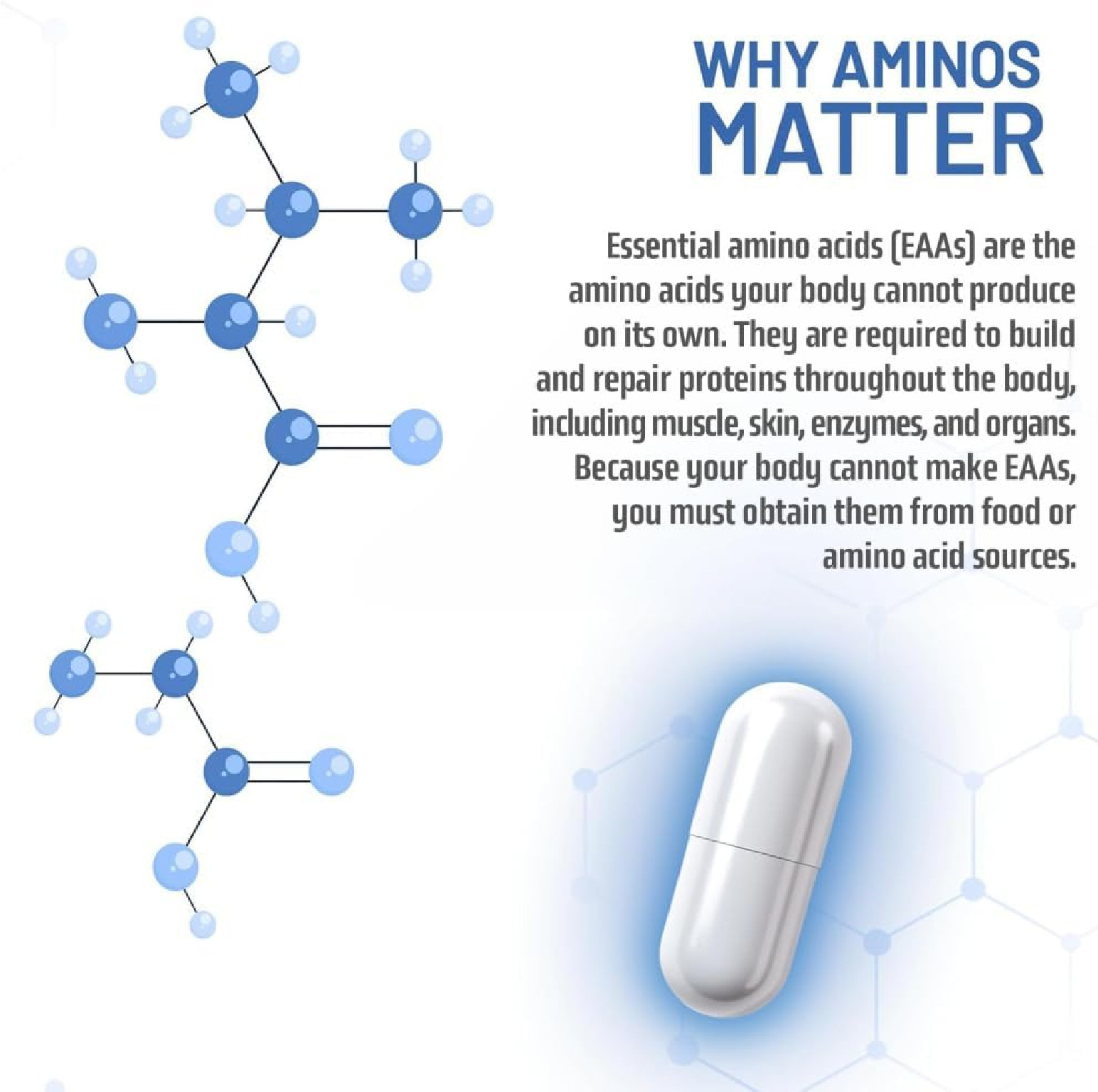 NAUTILUS Muscle Code Essential Amino Acid Capsules – Muscle Synthesis & Repair &