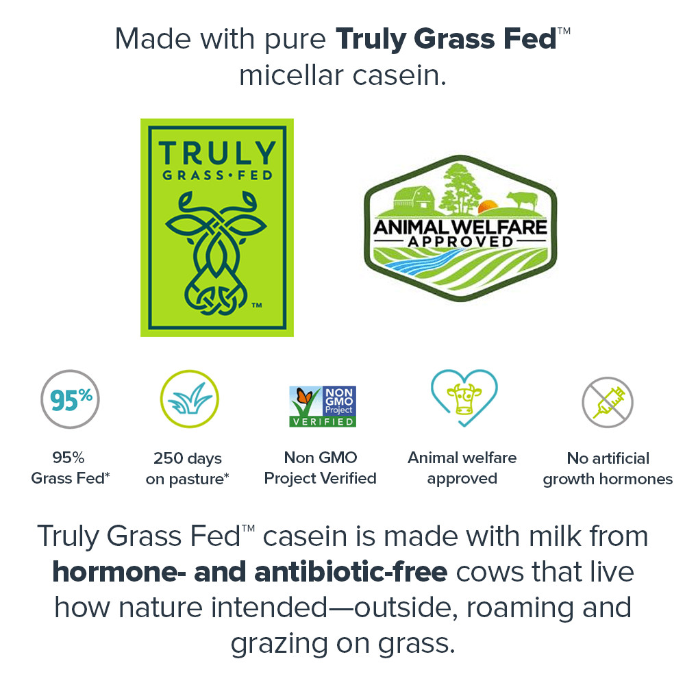 Casein + Protein Powder naturally sweetened and flavored