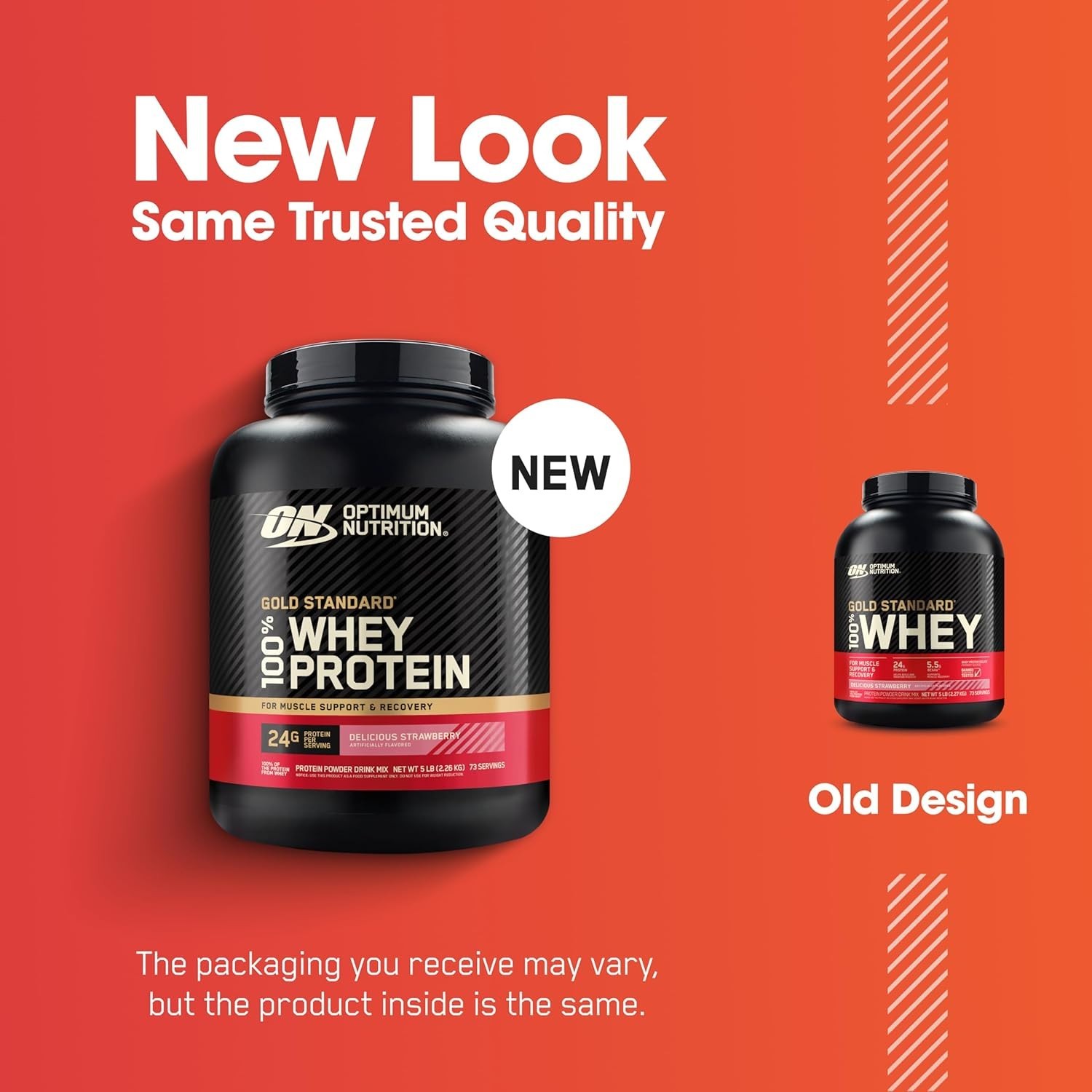 High-Quality Strawberry Whey Protein Powder – 24g Protein per Scoop, 5 lbs