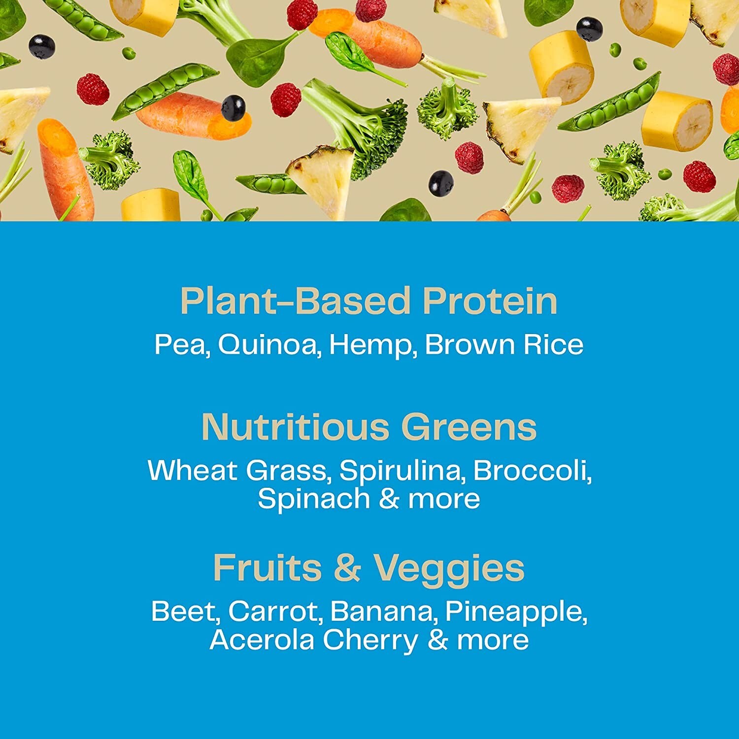 Amazing Grass – Organic Vegan Plant-Based Protein Powder – 20 Servings – Vanilla