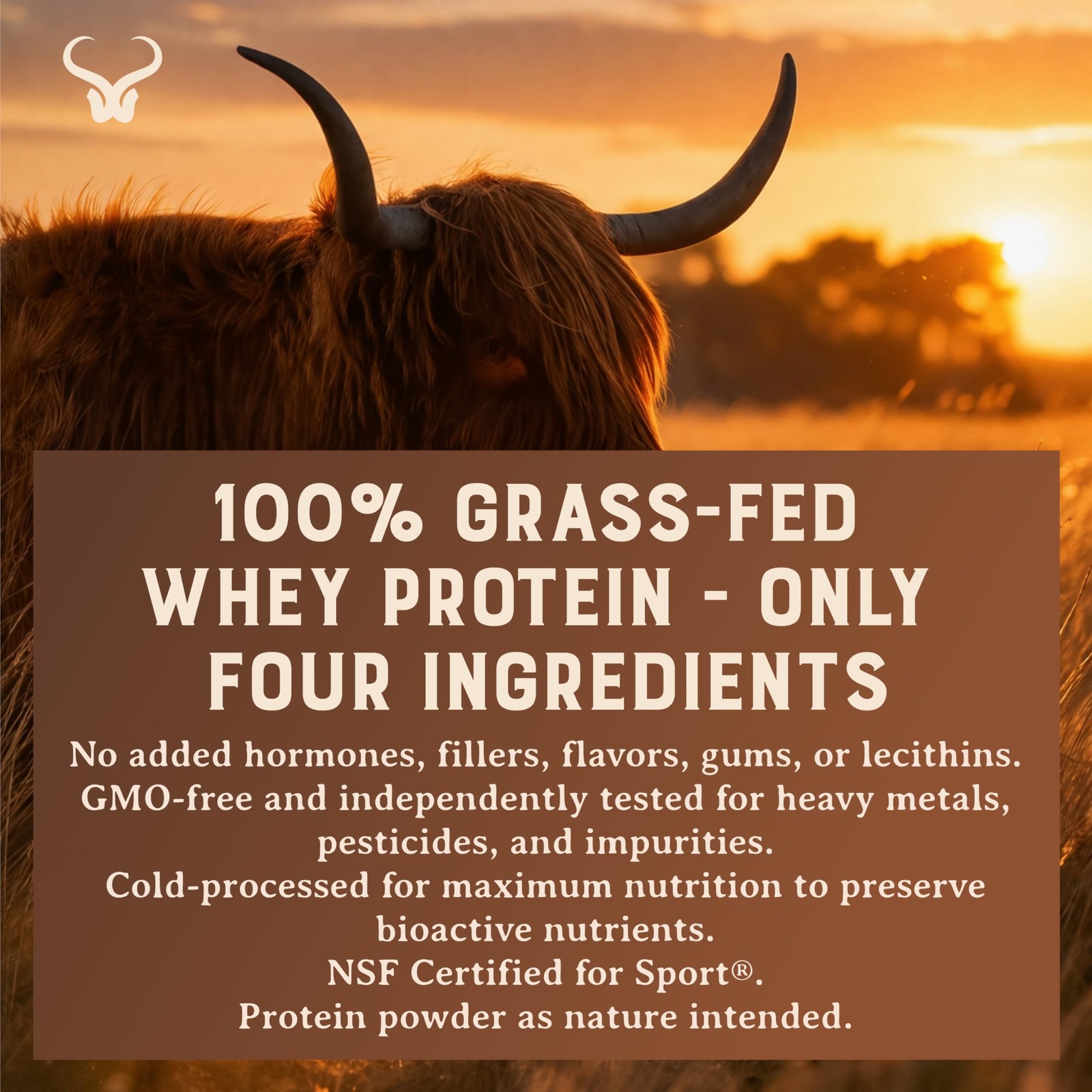 100% Grass Fed Whey Chocolate Protein Powder – Only Four Ingrediants, Absolut…