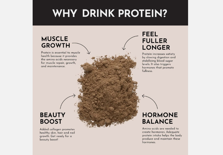Just Ingredients Chocolate Protein Powder, 24g Protein, Grass-Fed Whey