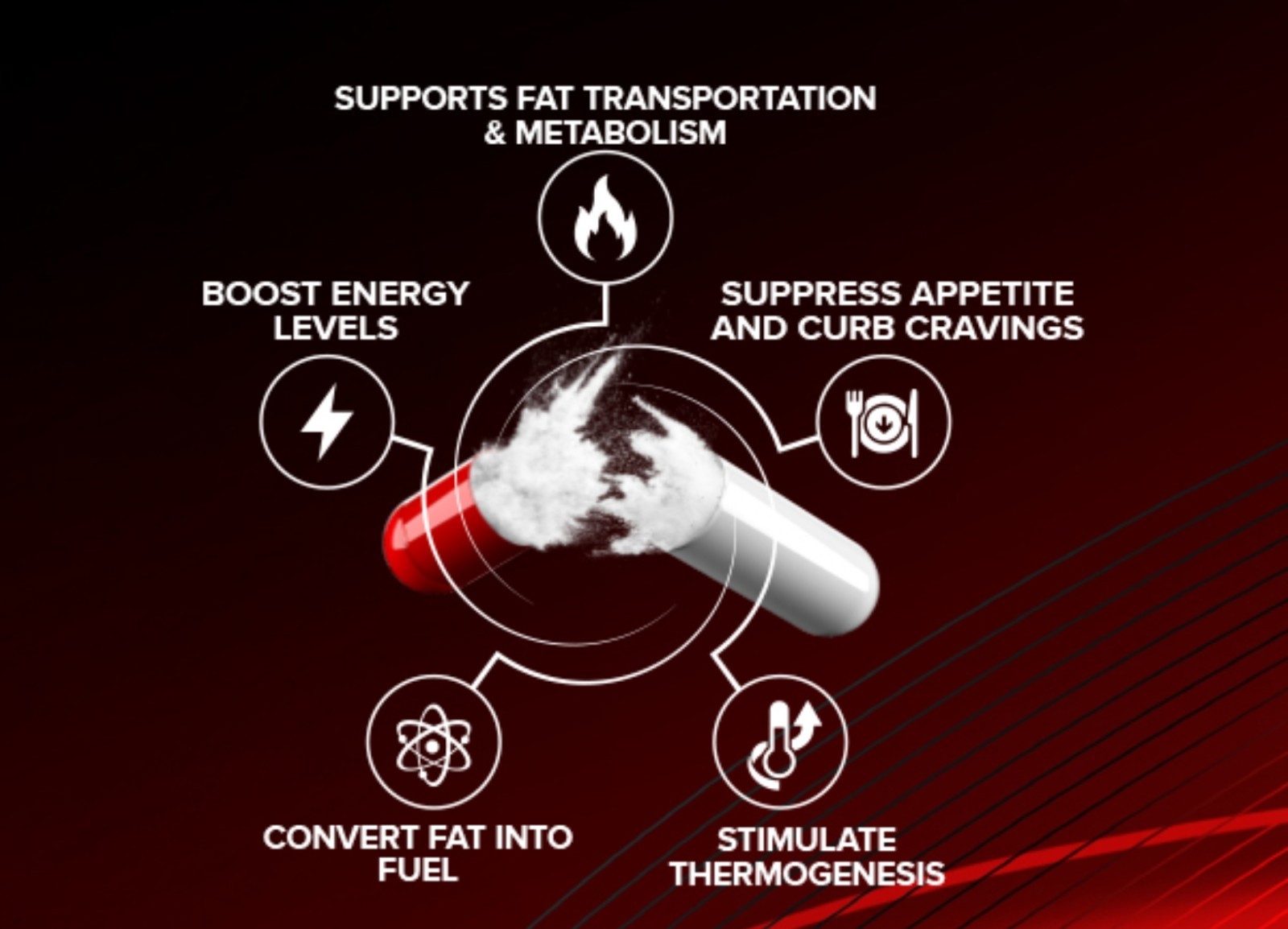 EFXSports LEAN FIX EXTREME Thermo Fat Burner 90 Caps (30 Servings) BEST BY 12/26