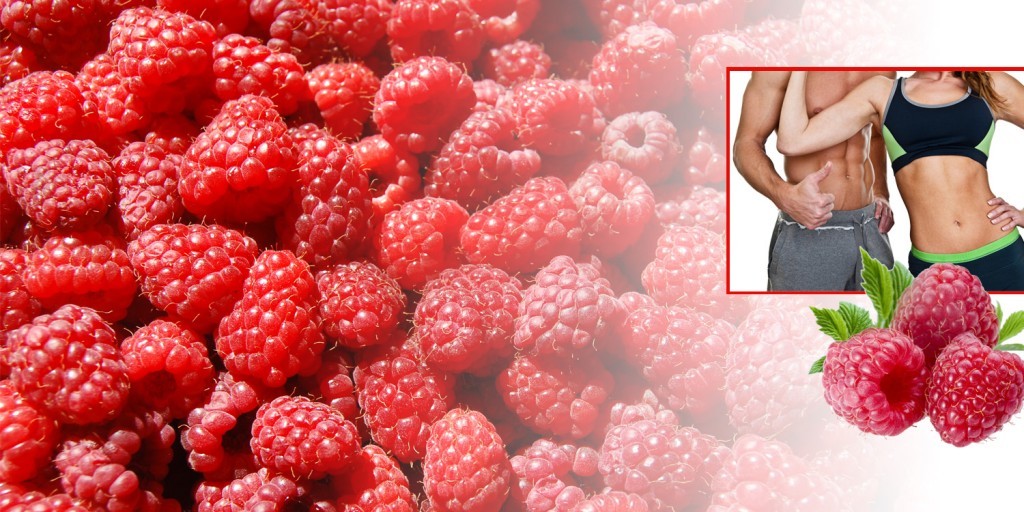 Antioxidant liquid supplement – WATER AWAY – RASPBERRY KETONE COMBO – raspberry