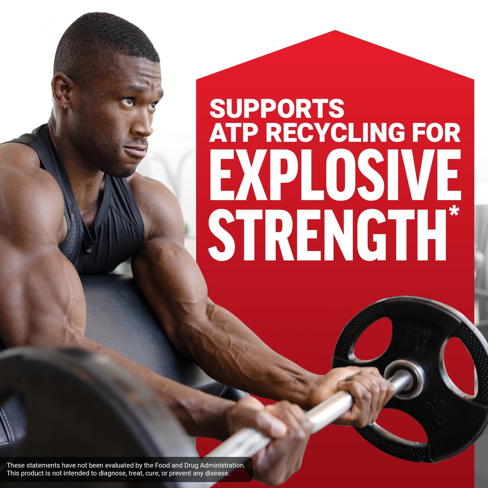 Micronized Creatine Monohydrate Powder, 5g for Muscle Growth & Recovery, Unflavo