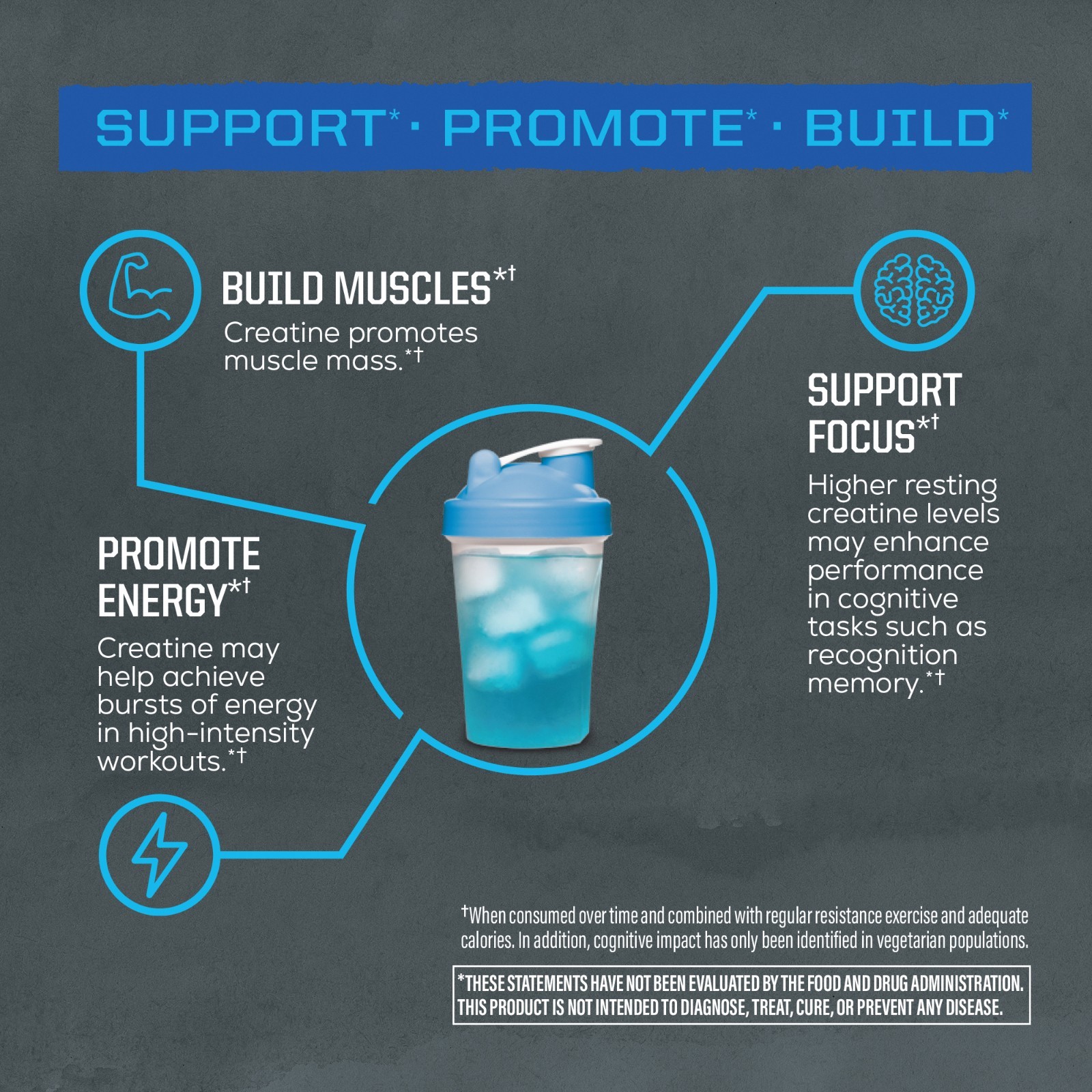 US Active Creatine Blue Raspberry 332g (50 srv)