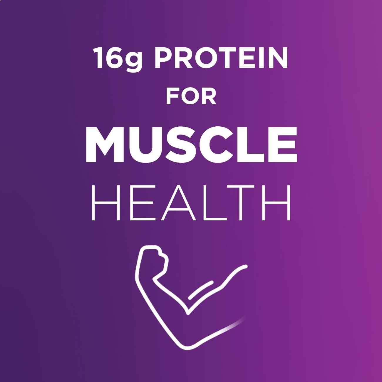 Ensure High Protein Bottled Milk Chocolate Nutrition Shake Fiber Ready To Drink