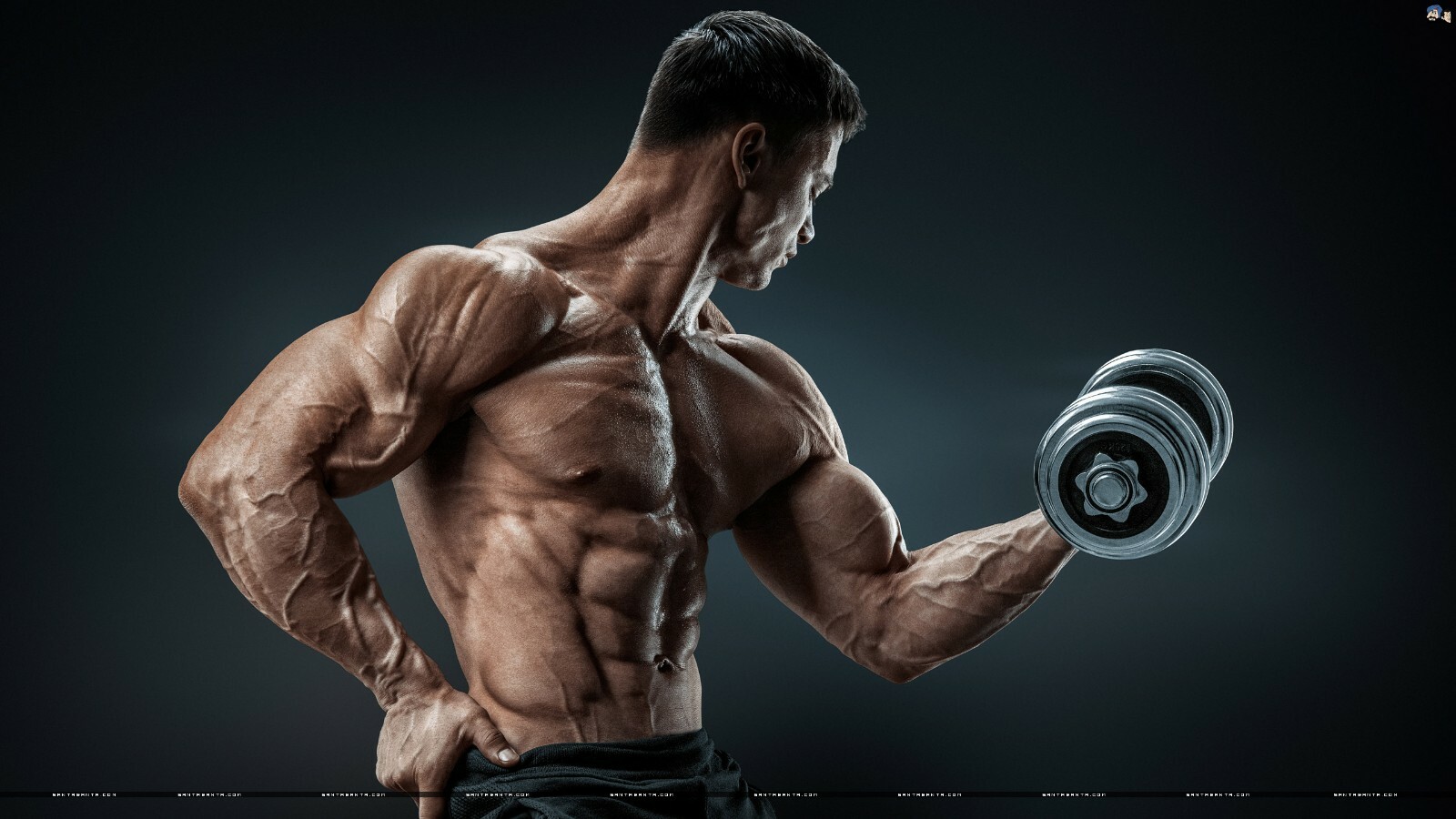 fat burn exercise – BCAA 3000MG – isoleucine bulk supplements —-2B