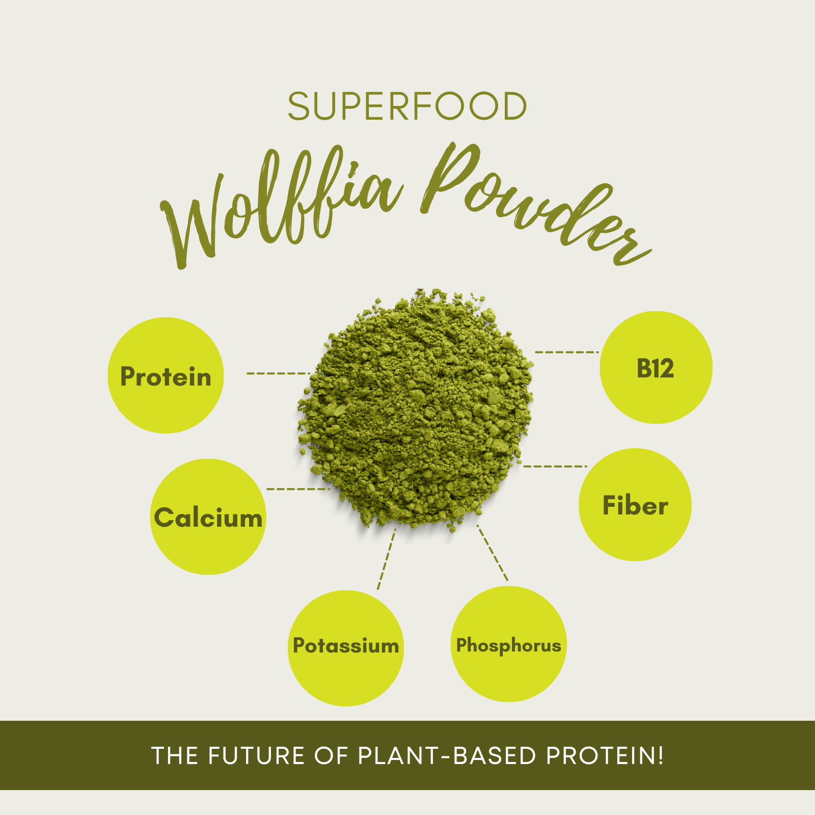Wolffia Globosa Powder Plant-Based Superfood | High Protein | B12 – Ship from CA