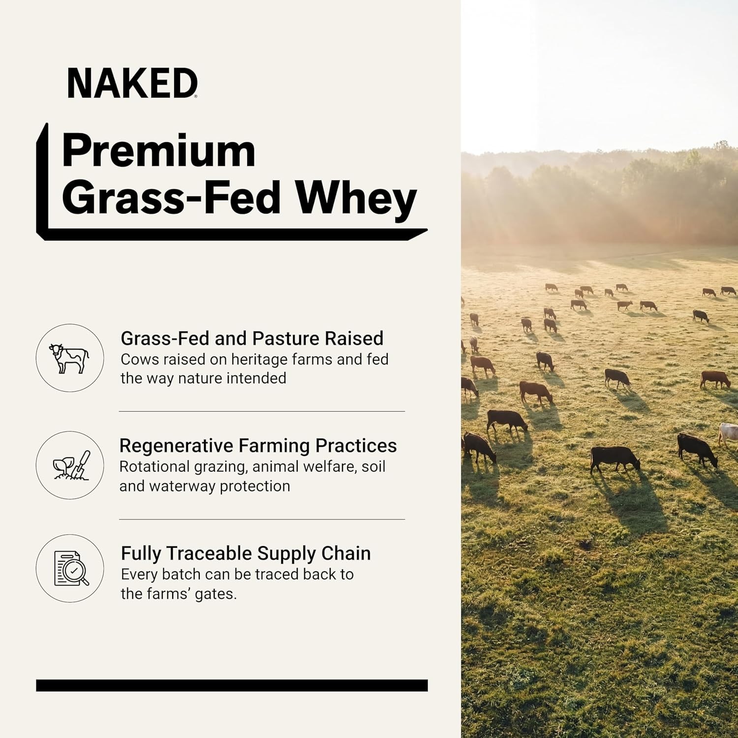 1Lb Vanilla Whey Protein Powder: 3-Ingredient NSF Certified Natural Supplement