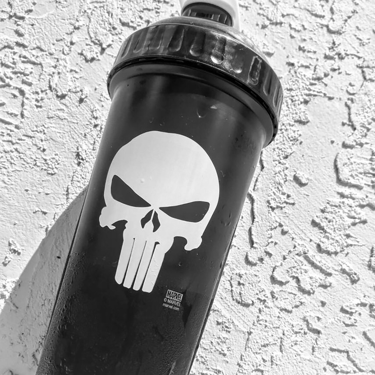 Performa Activ 28 oz. Game Of Thrones Collection Shaker Cup