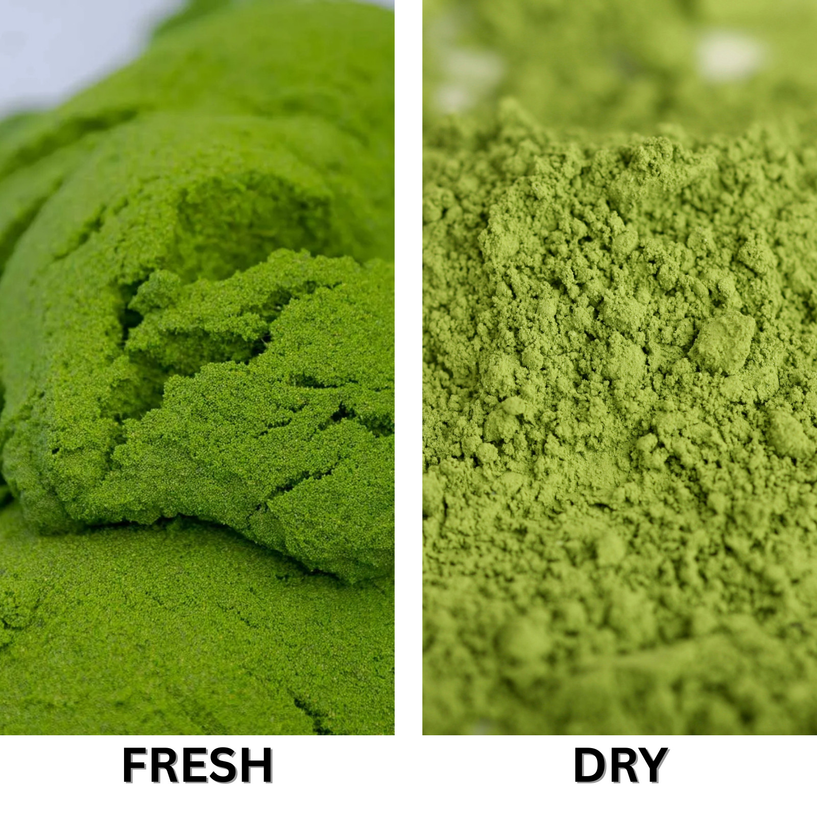 Pure Dried Wolffia Globosa Powder Plant Base High Protein Superfood, B12 Vegan