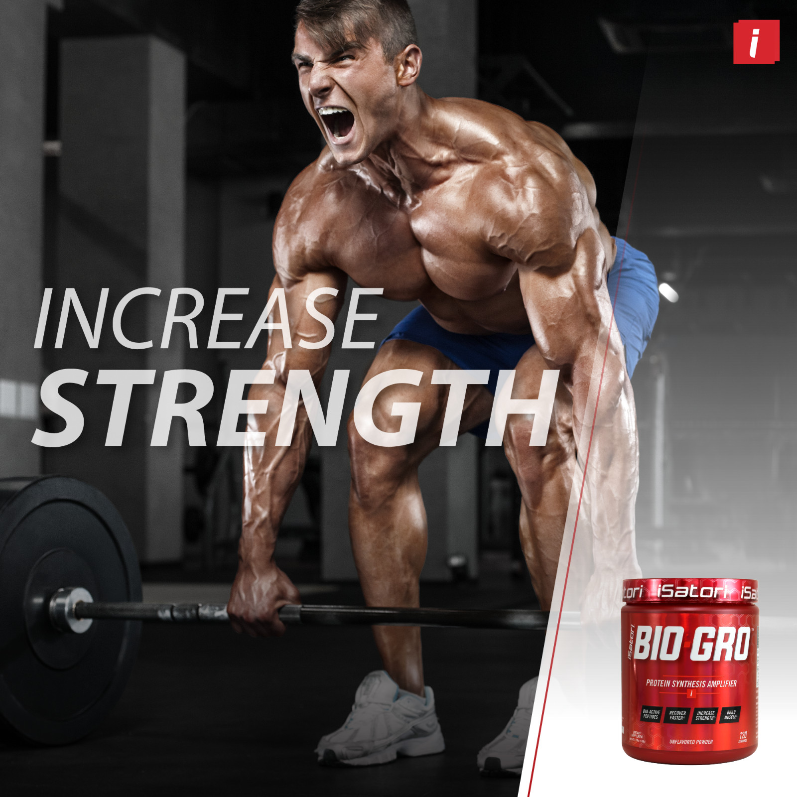 BIO-GRO Protein Muscle, Strength & Recovery – Unflavored / 120 Servings