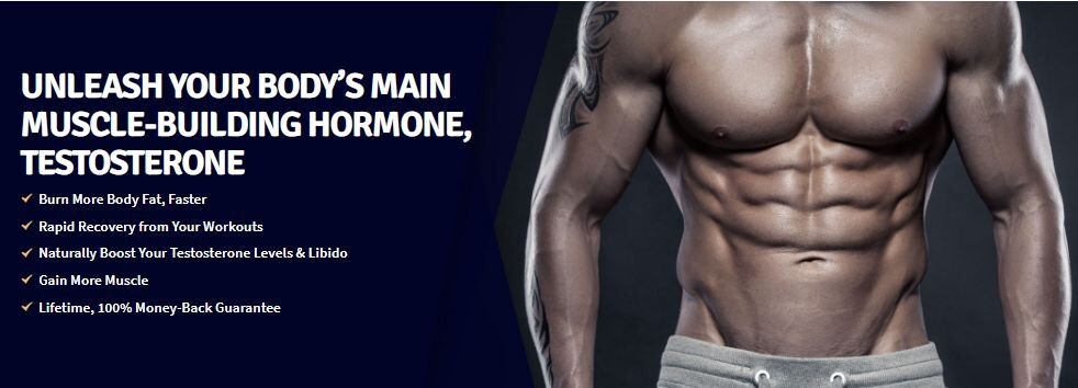 1 TEST BOOST Max + 1 Burn Evolved Sculptnation Testosterone Strength Weight Loss
