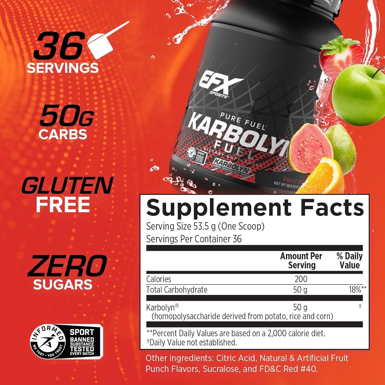 EFX Sports KARBOLYN FUEL High Performance Simple and Complex Carbohydrate Powder