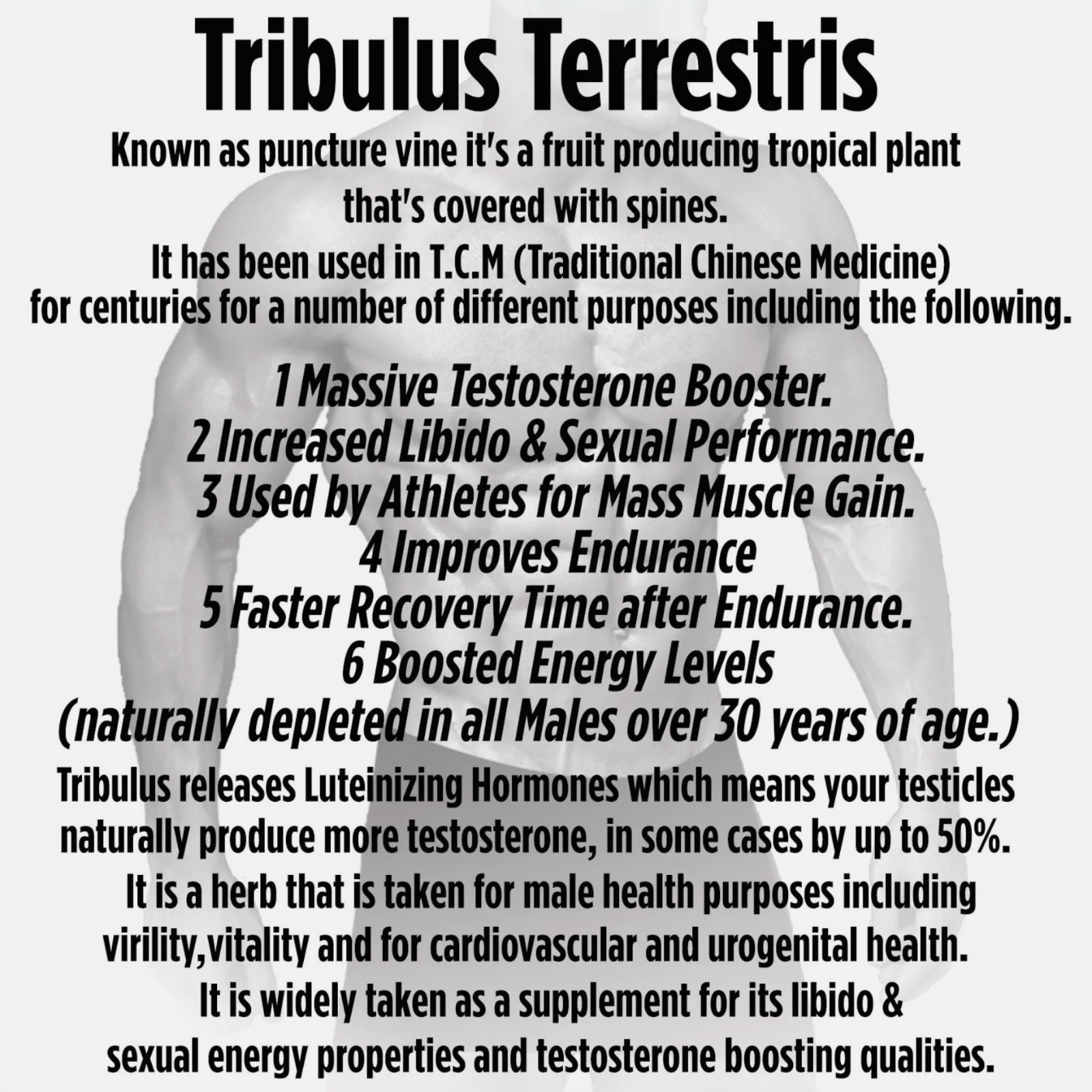 TRIBULUS TERRESTRIS 7500mg EXTRACT 96% SAPONINS BIG MUSCLE BODYBUILDING PILLS