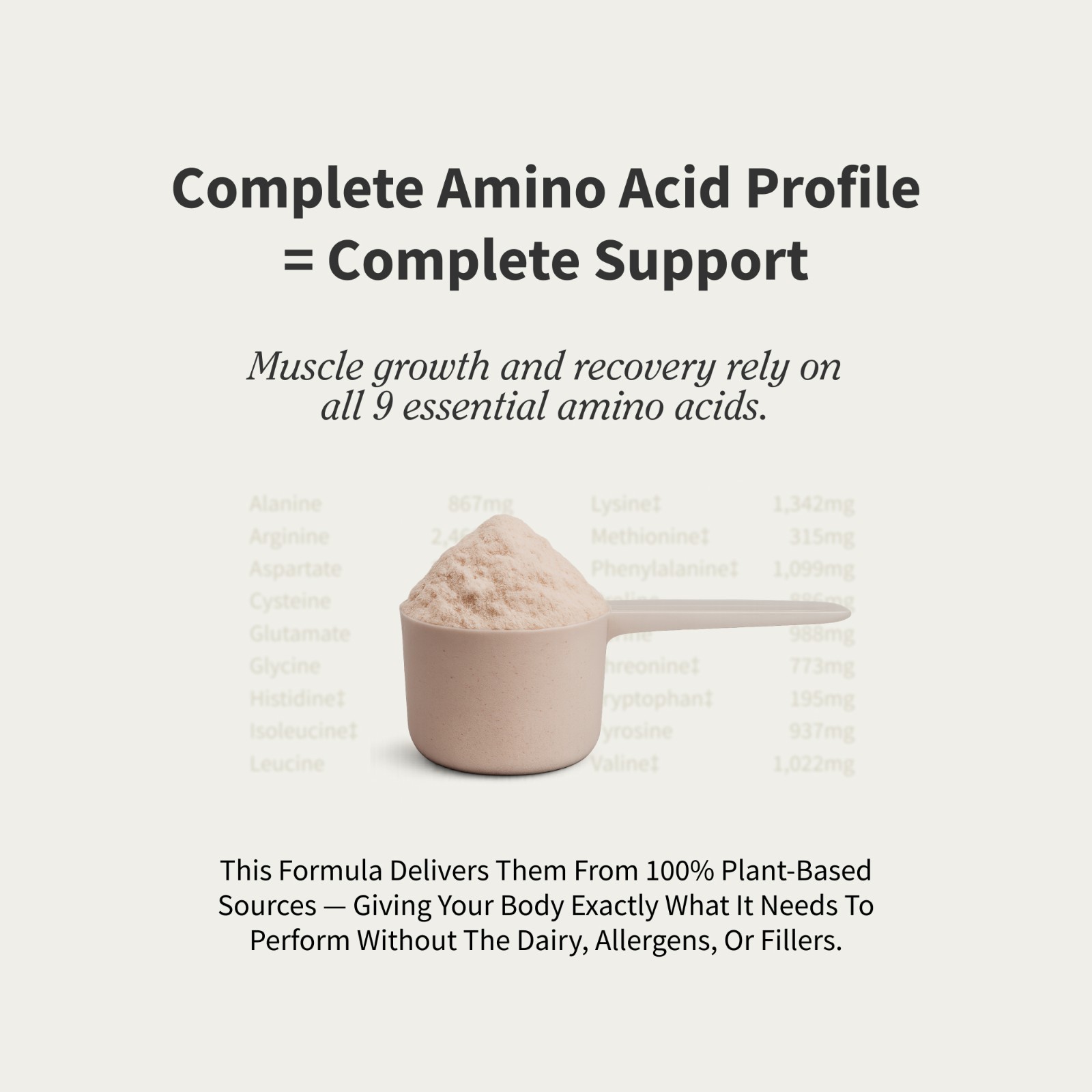 Plant Vegan Protein Powder, Muscle Growth, Performance & Recovery – Chocolate