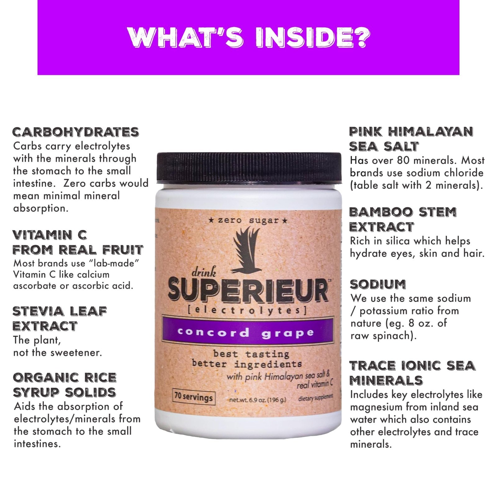Electrolyte Powder – Concord Grape, 70 Servings | Vegan, Zero Sugar, Keto, Hydra