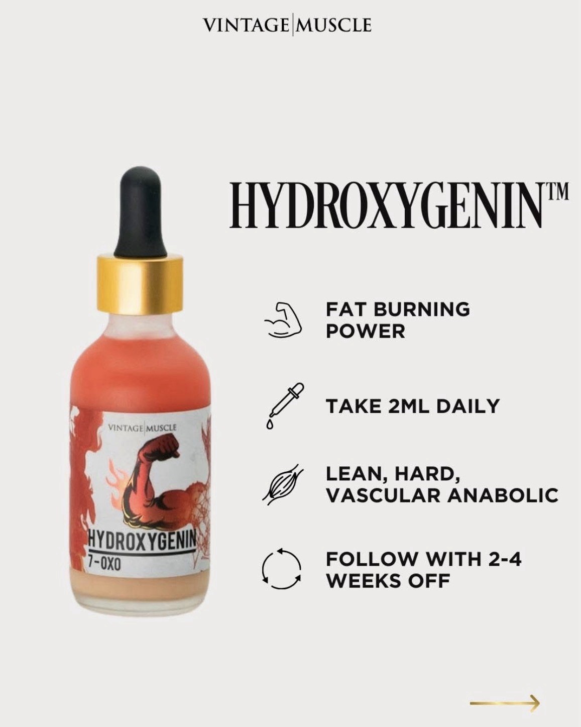 Premium Dry Lean Mass Gainer Cycle🔁 Bundle Deal By Vintage Muscle💪 🏛️🧪⚡️
