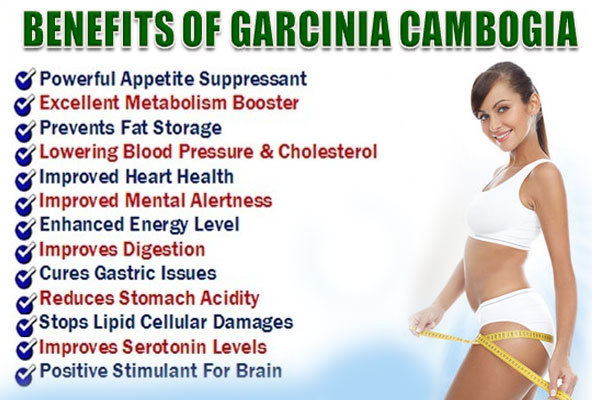 Fat Burner Belt For Women – Garcinia Extract 60% 1300mg – Garcinia Excel 2B