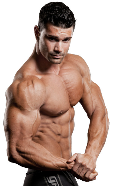 pre workout supplements – NITRIC OXIDE 2400 – muscle supplements – 1 Bottle