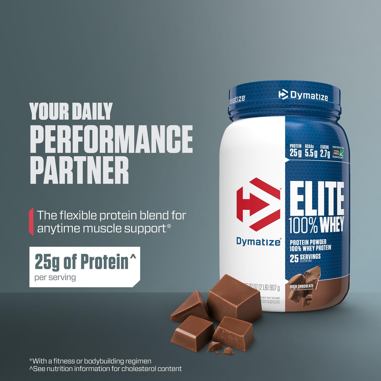 Dymatize Elite 100% Whey Protein Powder, 2 Pound (Pack of 1), Rich Chocolate