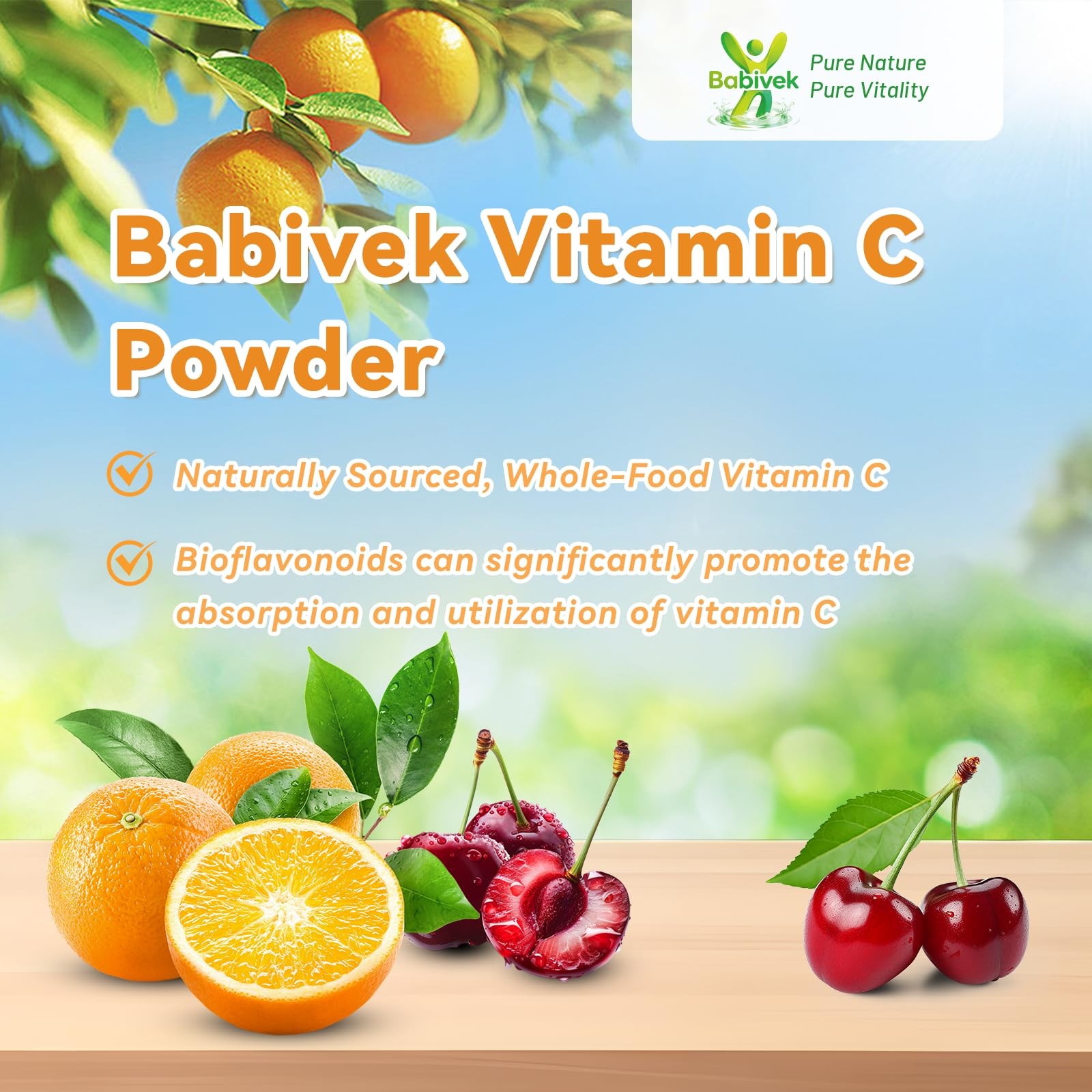 Electrolyte Powder Vitamin C 1000mg Support 8.8 Ounce (Pack of 1)