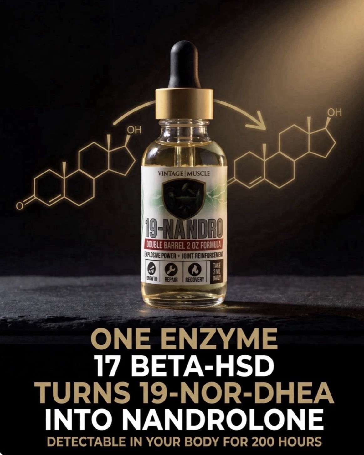 19 Nandro 2 Step Precursor 2 Deca DHEA 4 Size/Strength By Vintage Muscle 💪🏛️🧪