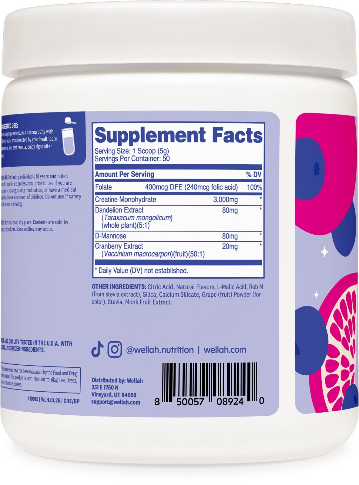 Wellah Pump-It-Up Creatine (50 Servings, Blueberry Pomegranate)