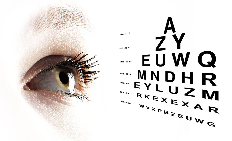 immune system booster – EYE VISION GUARD – bilberry herb 2B
