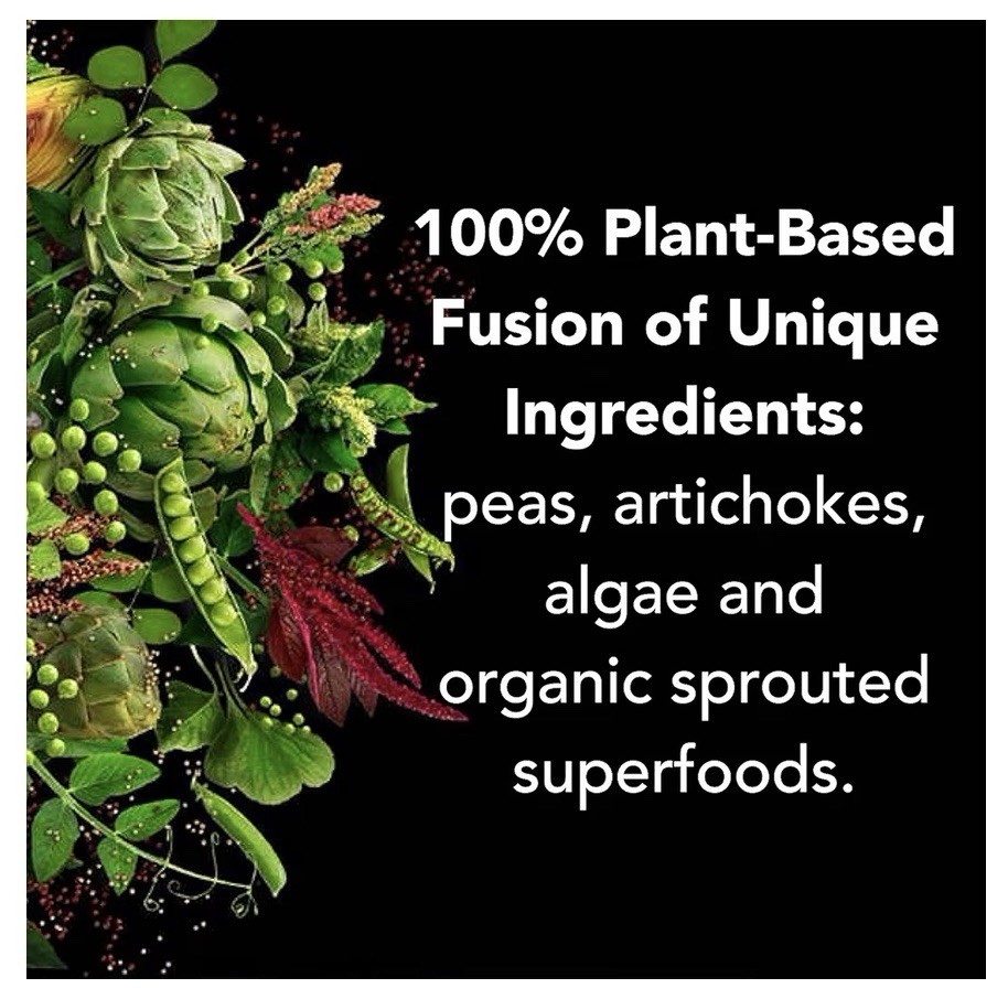 Plant Fusion Complete Protein, Rich Chocolate, 5 lb (2.25 kg)