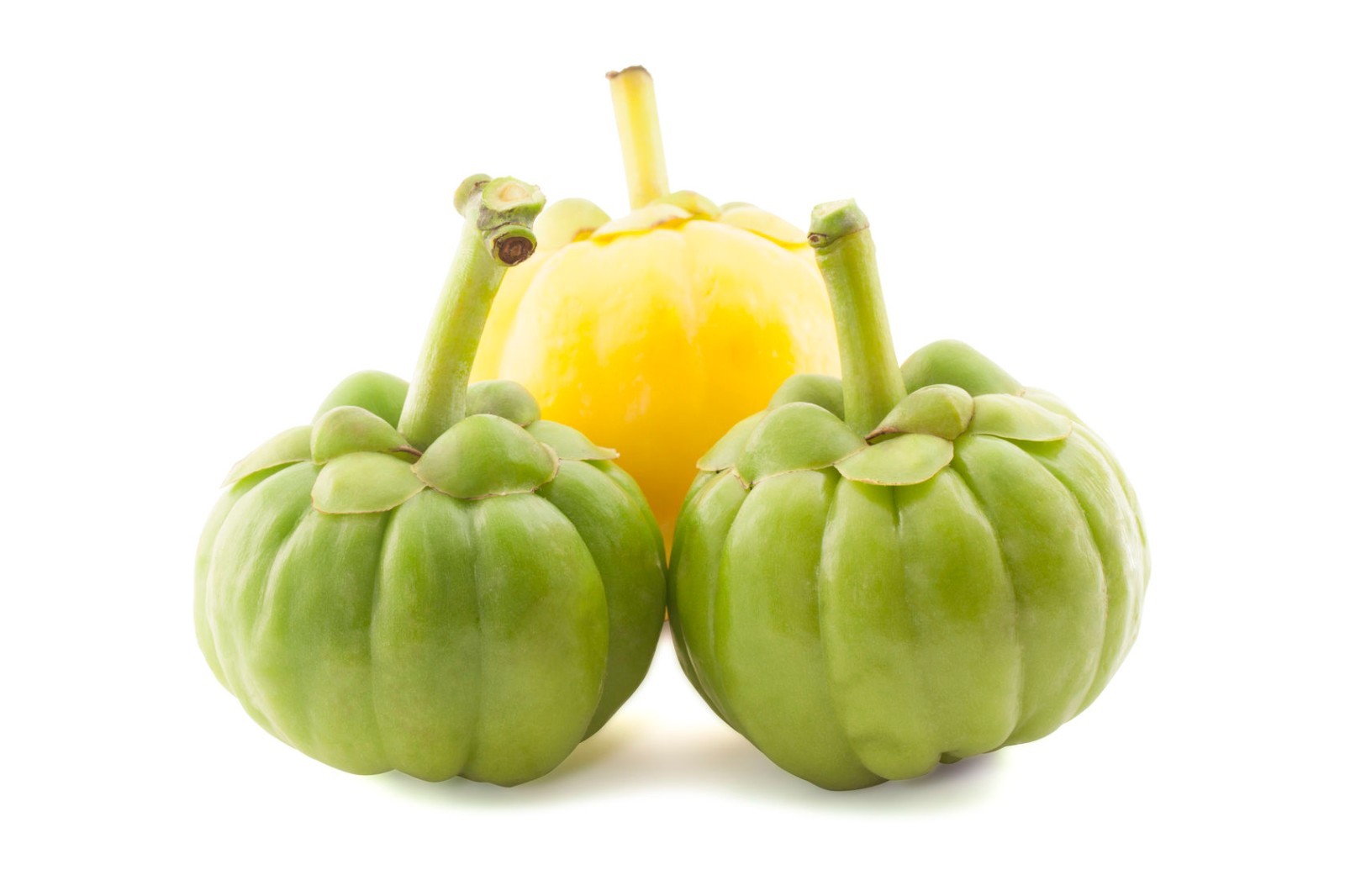 Garcinia Cambogia Extract – Weight Loss Formula – Diet Pills – Fat Burner – 2B