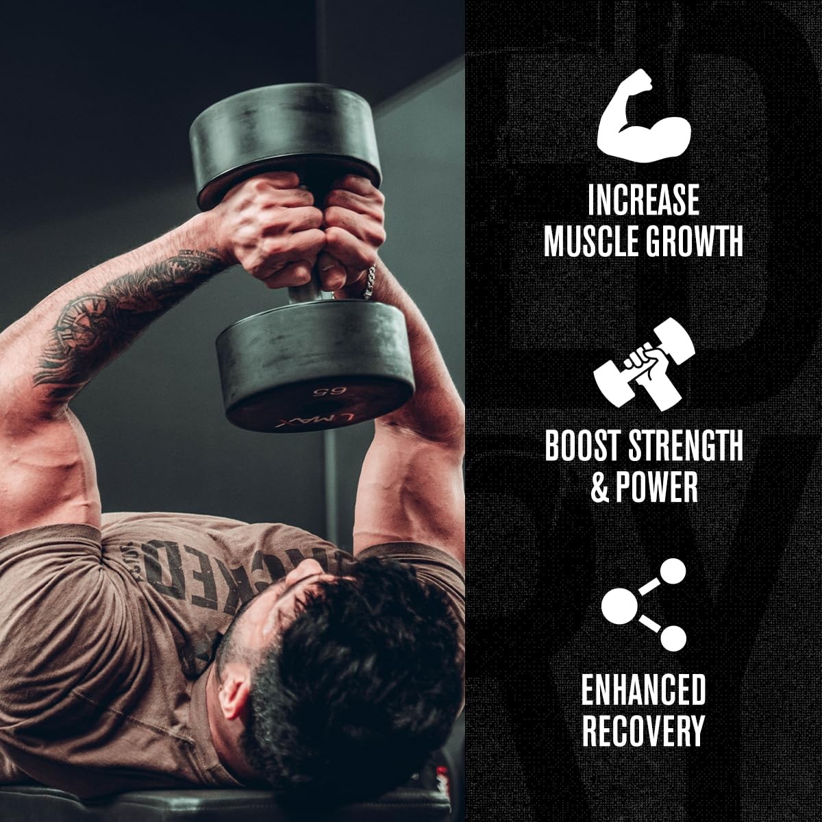 Jacked Factory Creatine Monohydrate Powder 425g – 5g 85 Servings (Pack of 1)