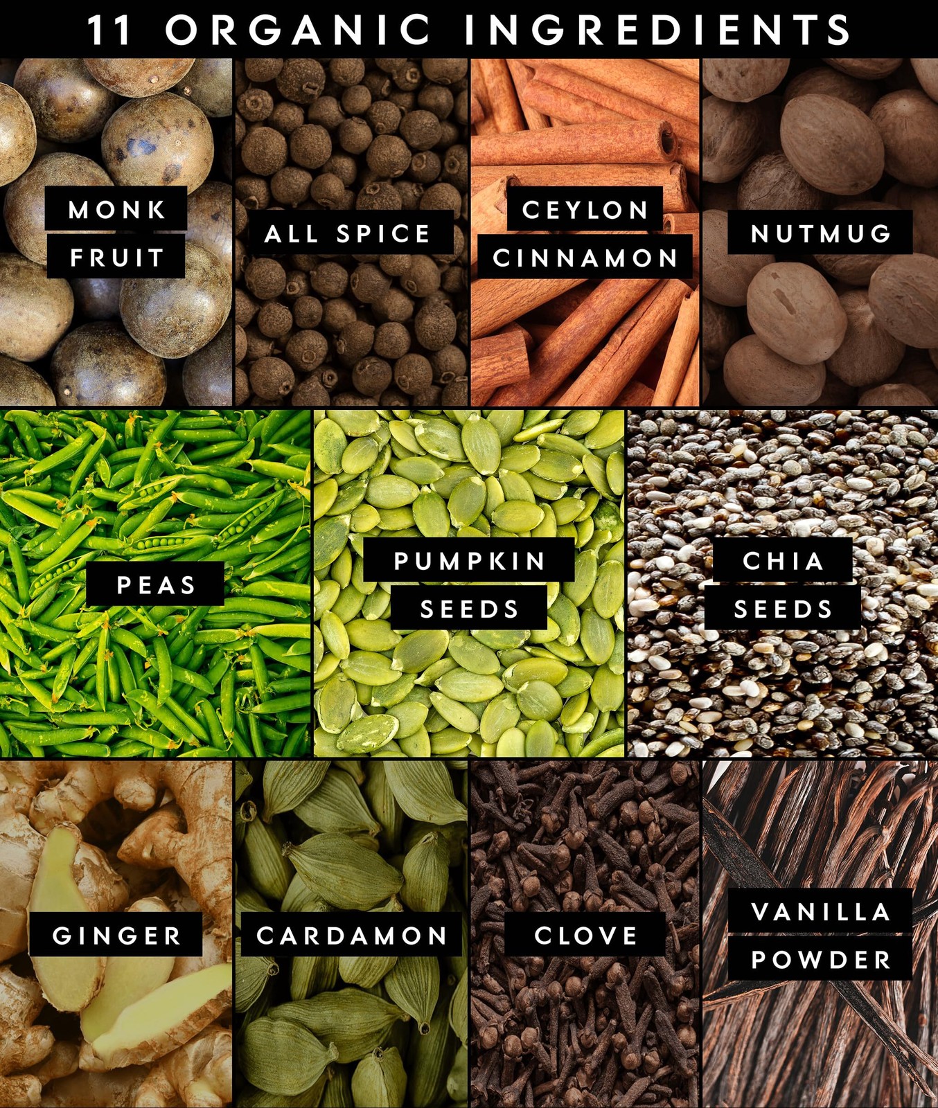 1/27 Truvani Vegan Pea Protein Powder | Vanilla Chai | 20g Protein | 20 Serv