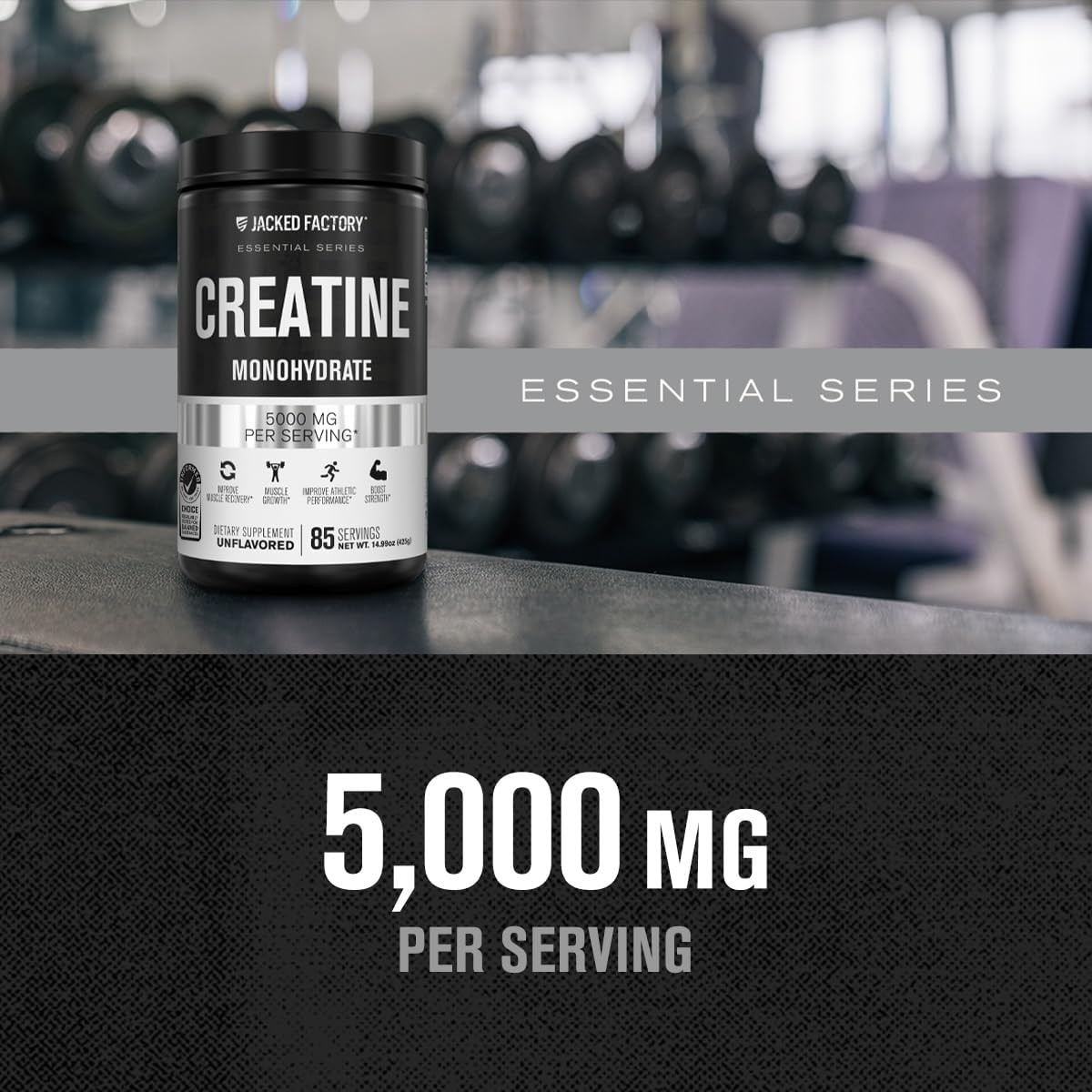 Jacked Factory Creatine Monohydrate Powder 425g – 5g Daily Creatine Supplement f