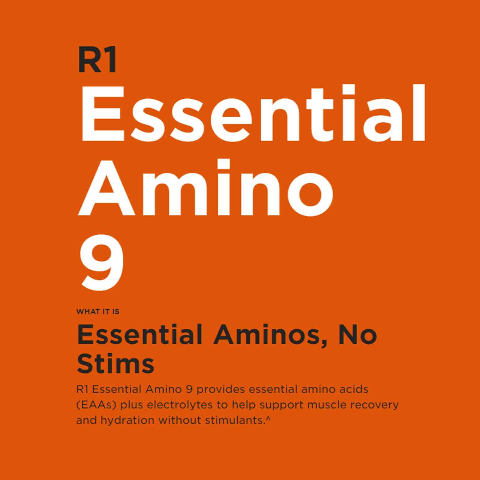 RULE 1 Essential Amino 9 30 serv Blue Razz Lemonade Amino Acids Hydration 345g