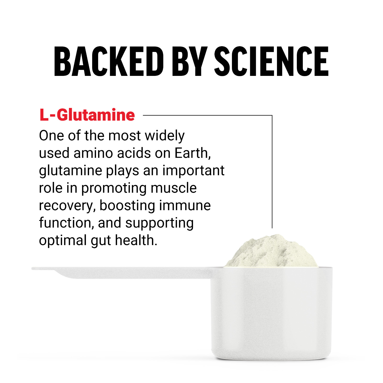 FORCE FACTOR L-Glutamine Powder 5000mg for Post Workout & Muscle Recovery