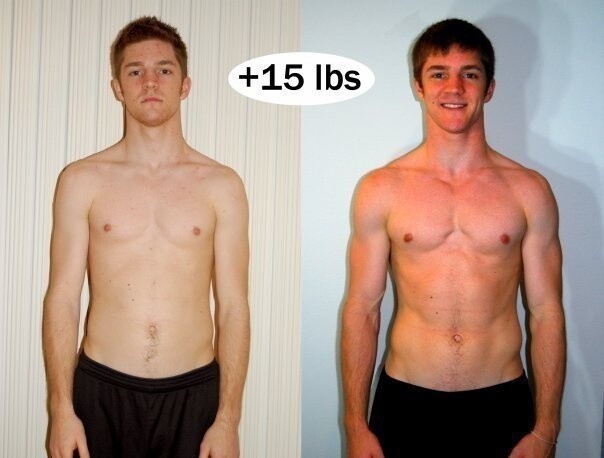 MUSCLE GAIN SUPPORT PRO TESTa Hardcore Testosterone Booster dietary supplement