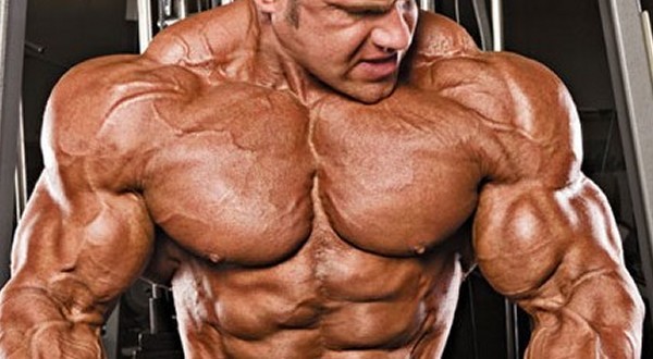 Muscle Mass TRIBULUS TERRESTRIS 1000mg Testosterone steroid 1 Bottle 90 Tablets