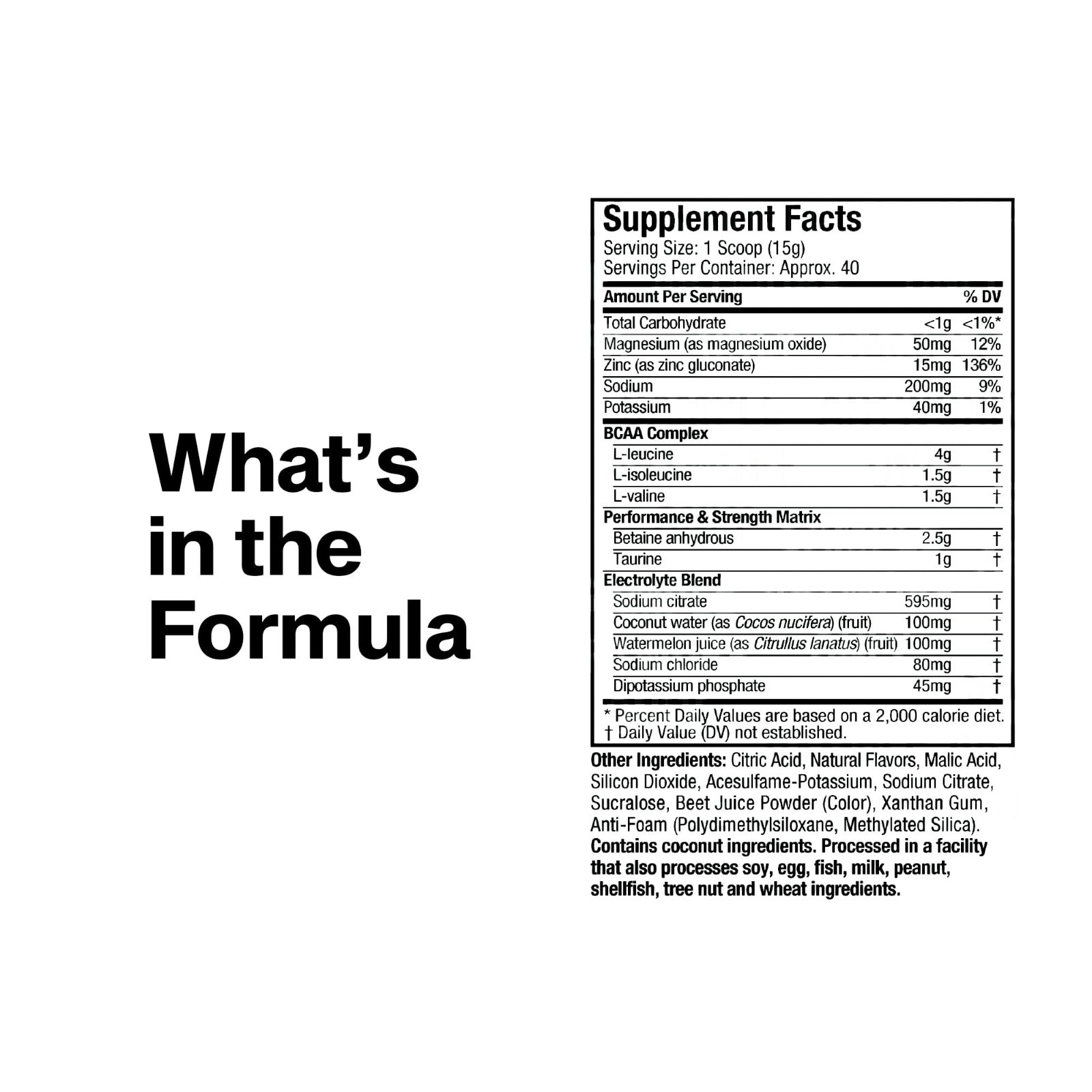 BCAA Amino Acids + Electrolyte Powder – 7g BCAAs, Build Lean Muscle, Boost Endur