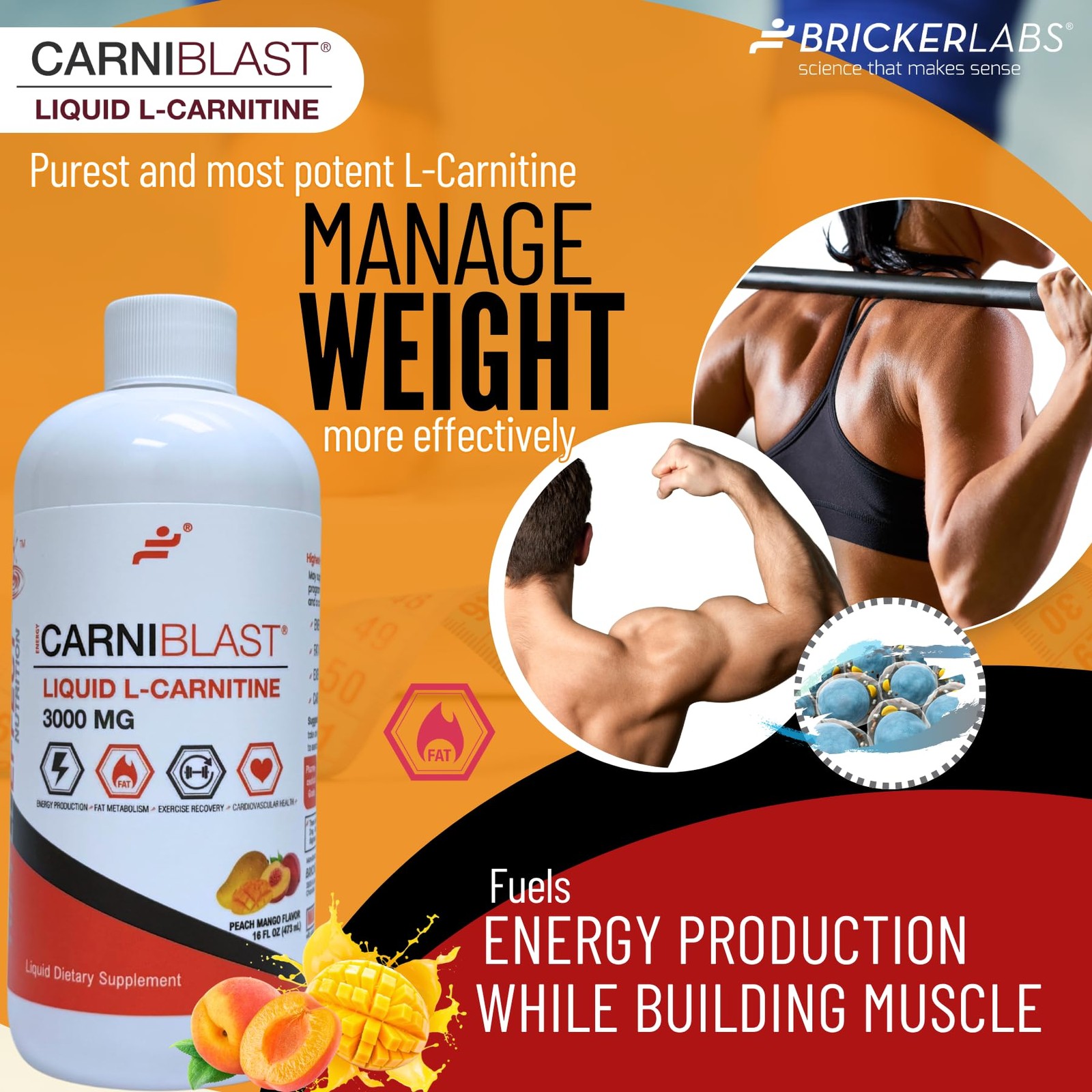 Bricker Labs CARNIBLAST Liquid L-Carnitine 3000mg 16 Fl Oz (Pack of 1)