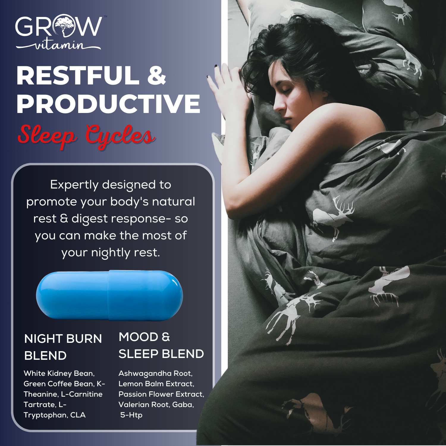 BPI Sports Nite Burn: Night Time Sleep Aid & Fat Burner for Diet, Weight Loss